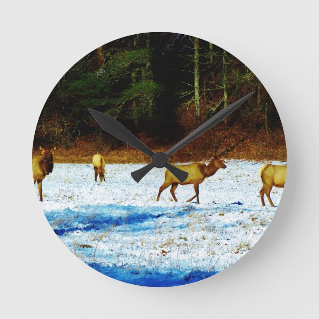 DSC00131.JPG ROUND CLOCK (Front)