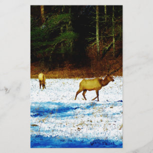 DSC00131.JPG STATIONERY