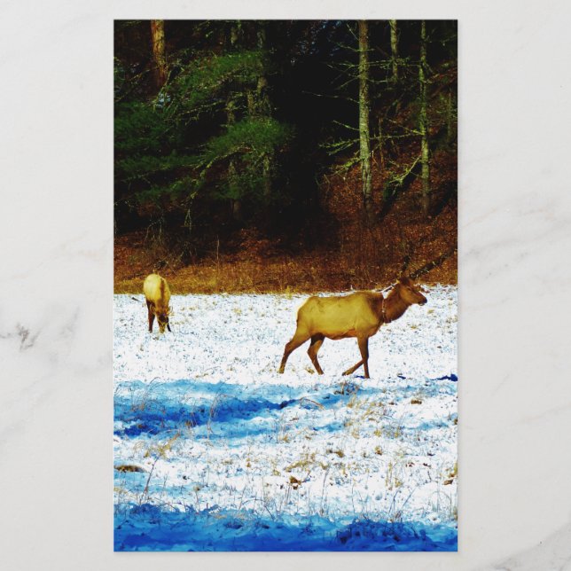 DSC00131.JPG STATIONERY (Front)