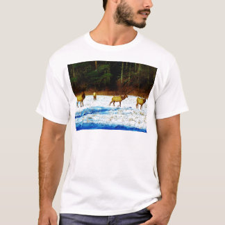 DSC00131.JPG T-Shirt