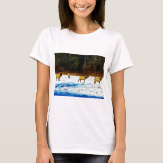 DSC00131.JPG T-Shirt