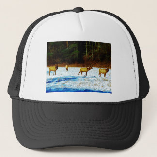 DSC00131.JPG TRUCKER HAT