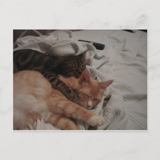 dsc00178[1] (2) postcard