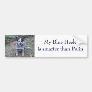 DSC00254, My Blue Heeleris smarter than Palin! Bumper Sticker