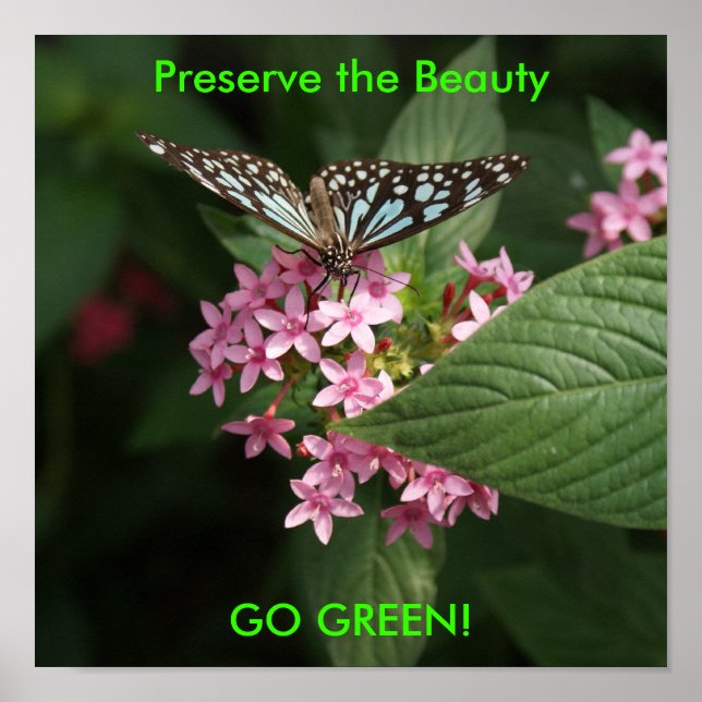 DSC00407, Preserve the Beauty, GO GREEN! Poster (Front)