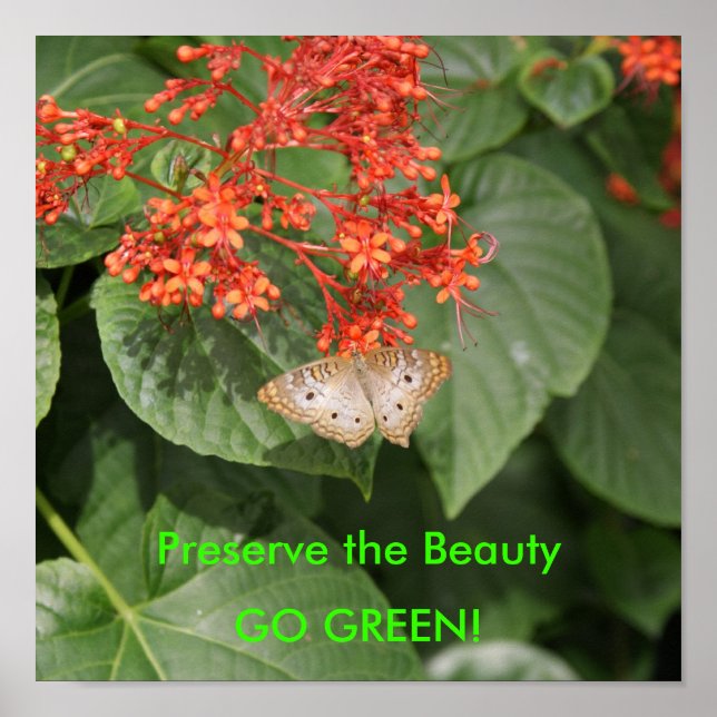 DSC00433, Preserve the Beauty, GO GREEN! Poster (Front)
