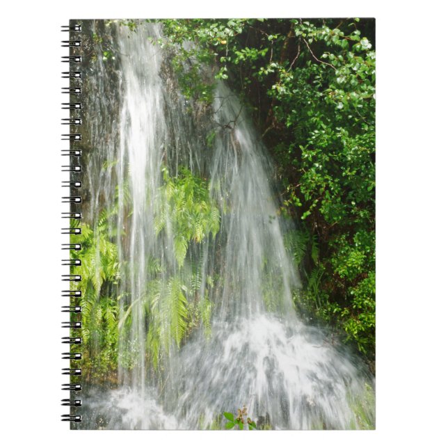 DSC00450.JPG NOTEBOOK (Front)