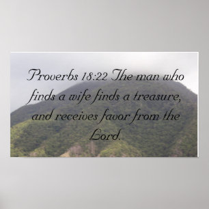 DSC00708, Proverbs 18:22 The man who finds a wi... Poster