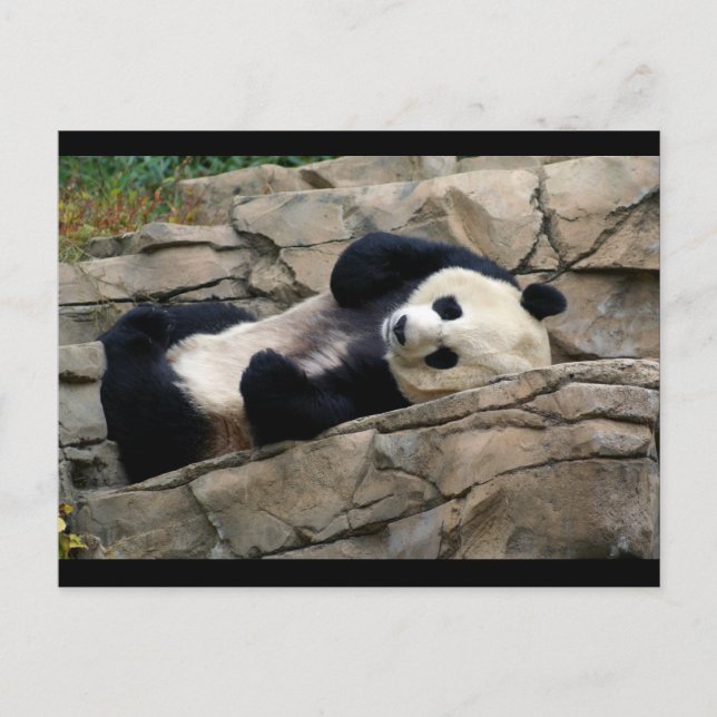 DSC01647 a Postcard (Front)