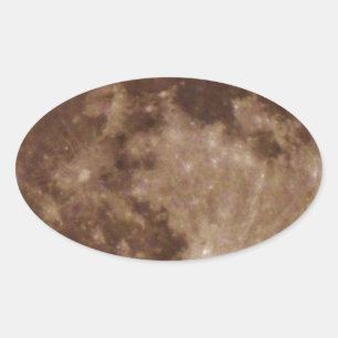 DSC02662.JPG OVAL STICKER