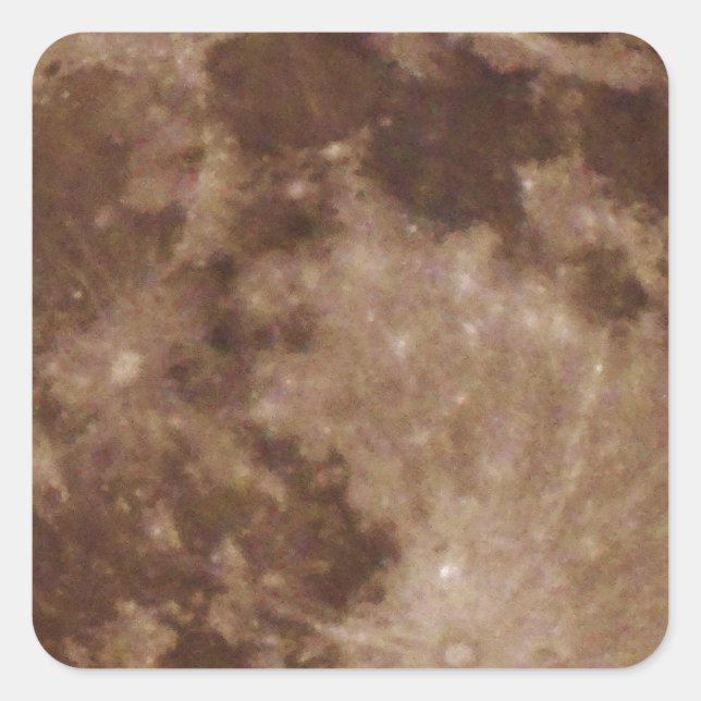 DSC02662.JPG SQUARE STICKER (Front)