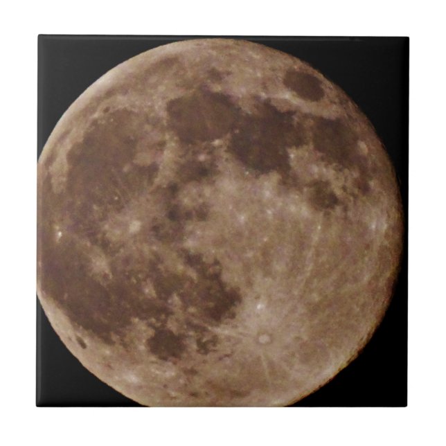 DSC02662.JPG TILE (Front)