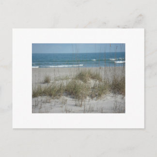 DSC04194, Cocoa Beach, FLPhoto by Julie.B.Carter Postcard