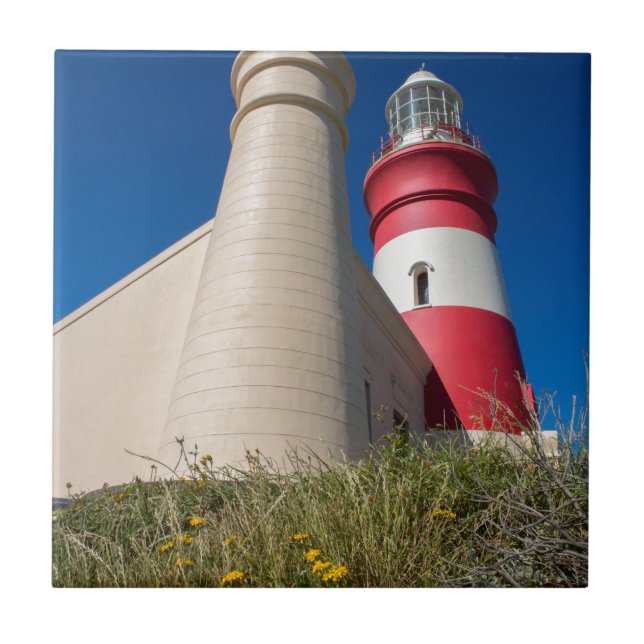 _DSC2418 TILE (Front)