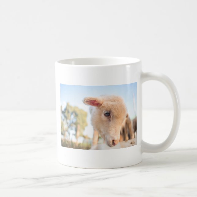 _DSC2491 COFFEE MUG (Right)