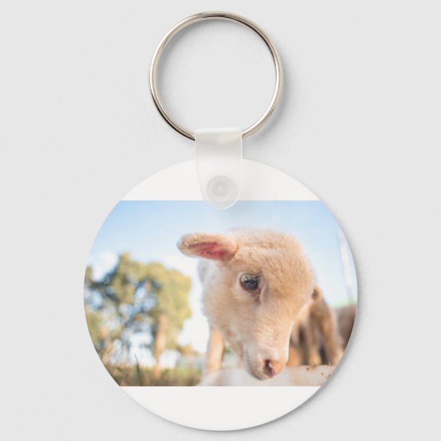 _DSC2491 KEY RING (Front)