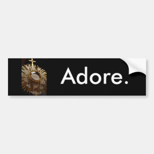 DSC_0130(1), Adore. Bumper Sticker