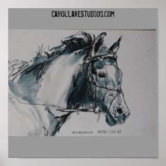 DSC_0462, Animals. Life. Art. , CarolLakeStudio... Poster