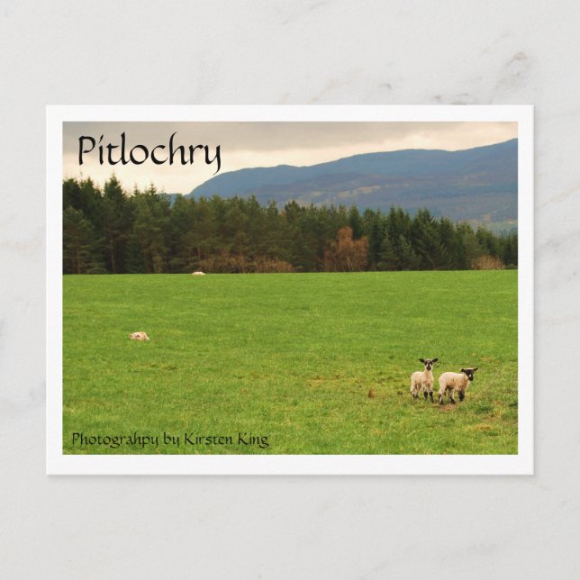 DSC_0522, Pitlochry, Photograhpy by Kirsten King Postcard (Front)