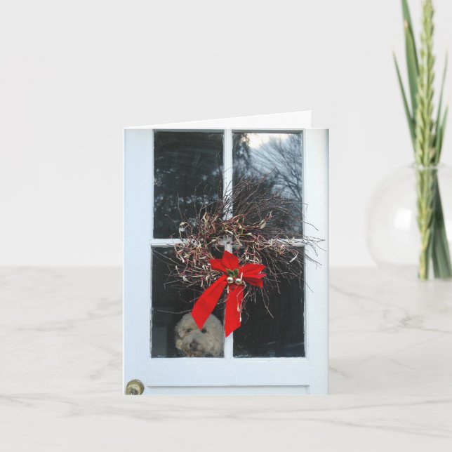 DSC_0572 HOLIDAY CARD (Front)