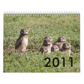 DSC_2816, 2011 CALENDAR