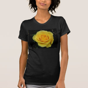 DSCF0127 Yellow Rose T-Shirt