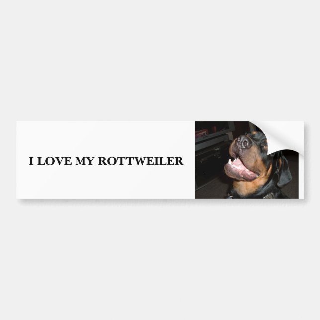 DSCF0313, I LOVE MY ROTTWEILER BUMPER STICKER (Front)