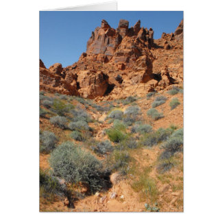 DSCF0344,~in your words~