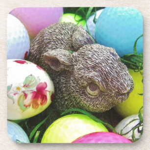 DSCF0438.JPG COASTER