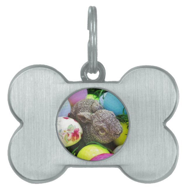 DSCF0438.JPG PET ID TAG (Front)