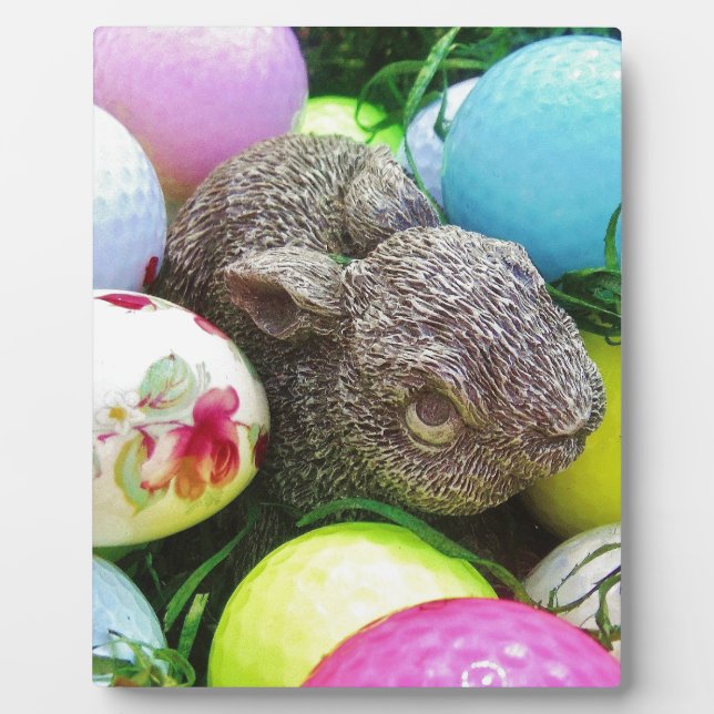 DSCF0438.JPG PLAQUE (Front)