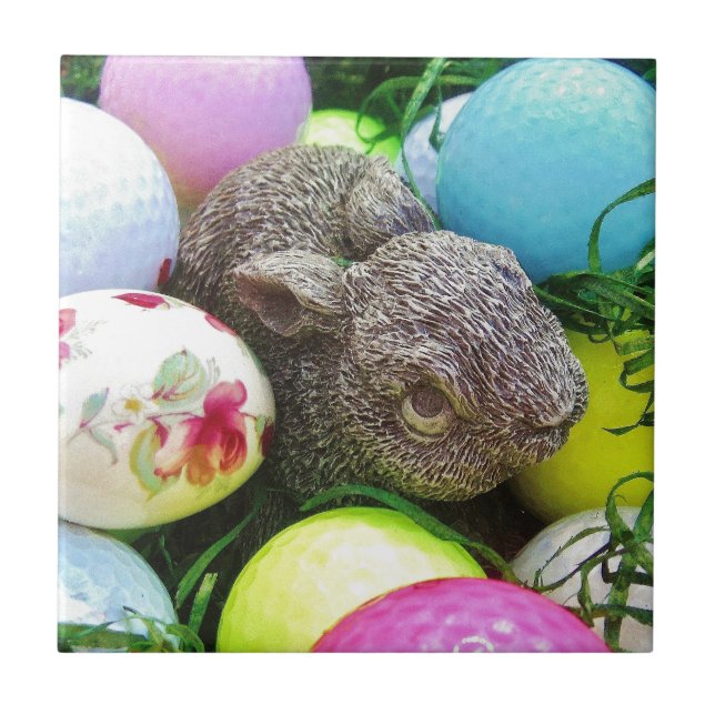 DSCF0438.JPG TILE (Front)