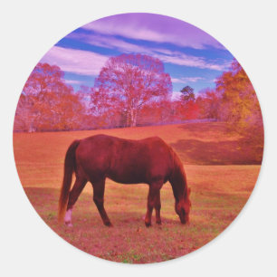 DSCF0536.JPG CLASSIC ROUND STICKER