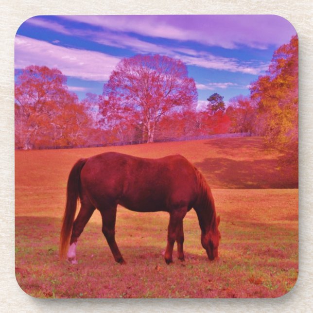 DSCF0536.JPG COASTER (Front)