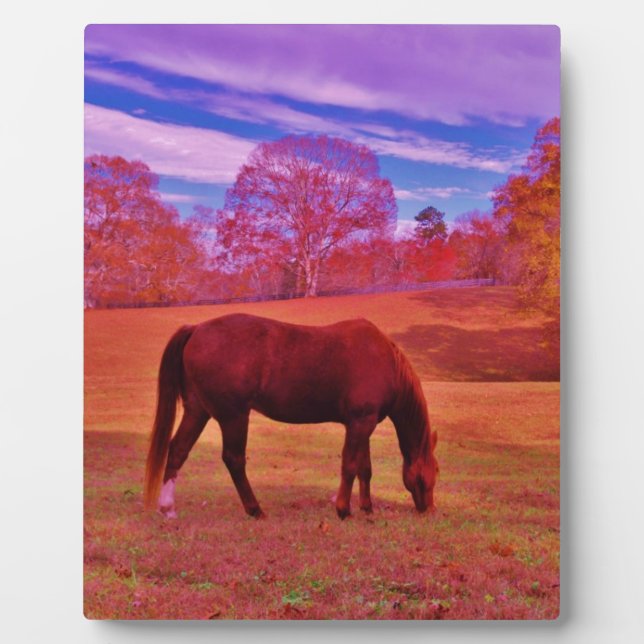 DSCF0536.JPG PLAQUE (Front)