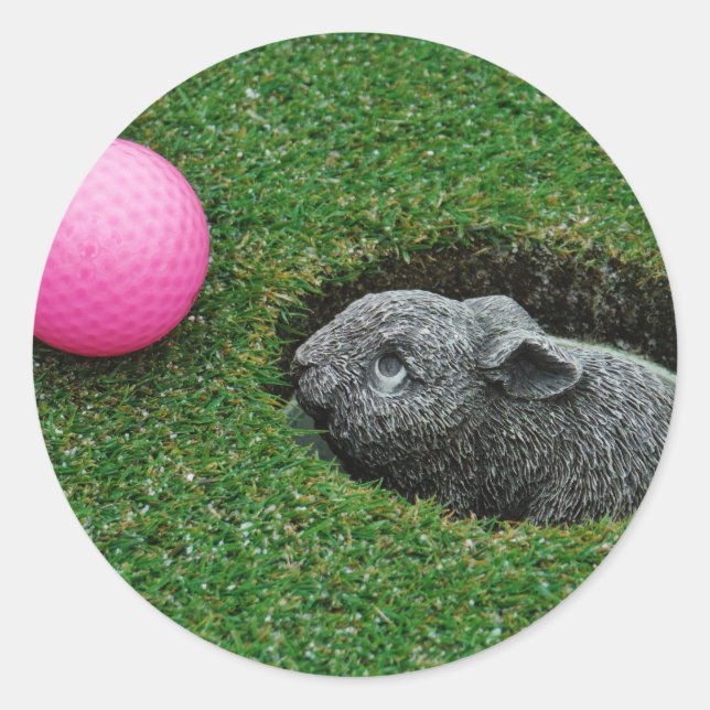 DSCF0652.JPG CLASSIC ROUND STICKER (Front)