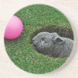 DSCF0652.JPG COASTER