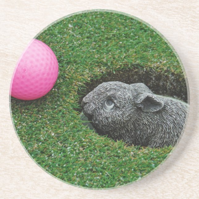 DSCF0652.JPG COASTER (Front)