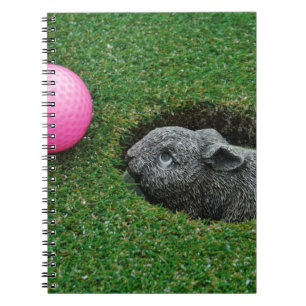 DSCF0652.JPG NOTEBOOK