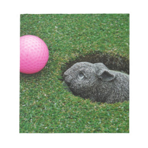 DSCF0652.JPG NOTEPAD