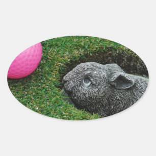 DSCF0652.JPG OVAL STICKER