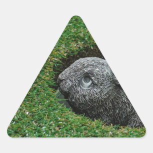 DSCF0652.JPG TRIANGLE STICKER