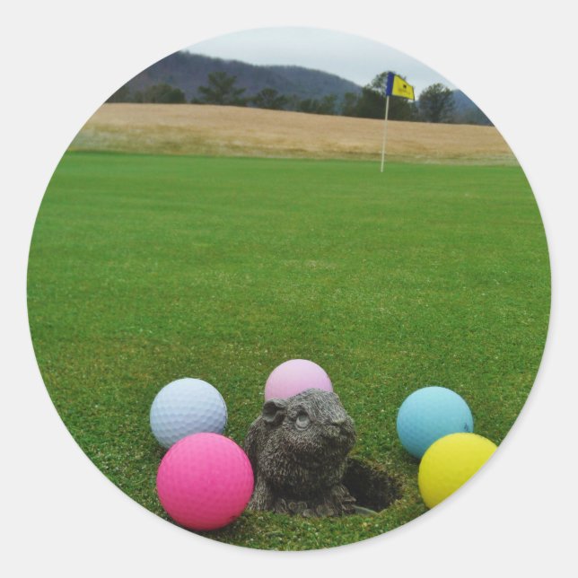 DSCF0692.JPG CLASSIC ROUND STICKER (Front)