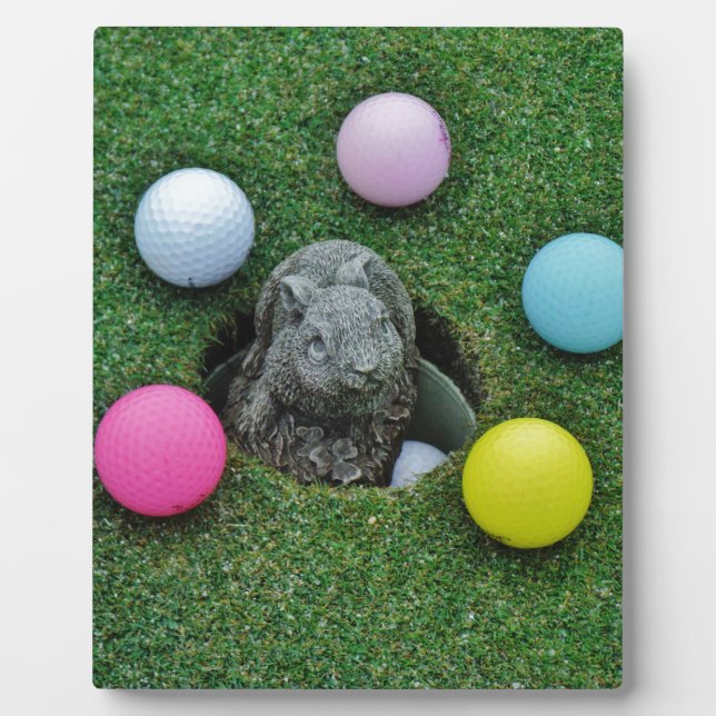 DSCF0698.JPG PLAQUE (Front)