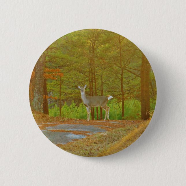 DSCF4041.JPG 6 CM ROUND BADGE (Front)