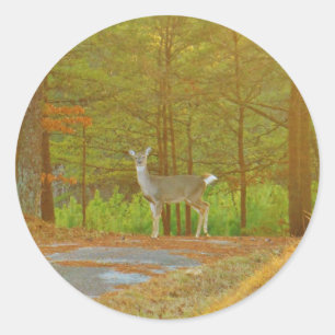 DSCF4041.JPG CLASSIC ROUND STICKER