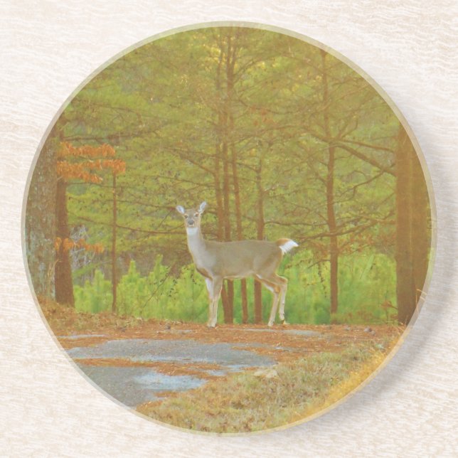 DSCF4041.JPG COASTER (Front)