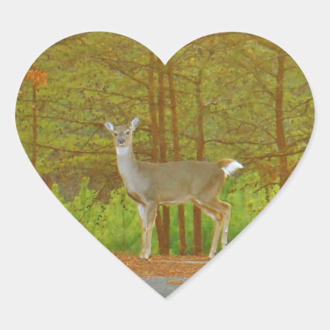 DSCF4041.JPG HEART STICKER (Front)