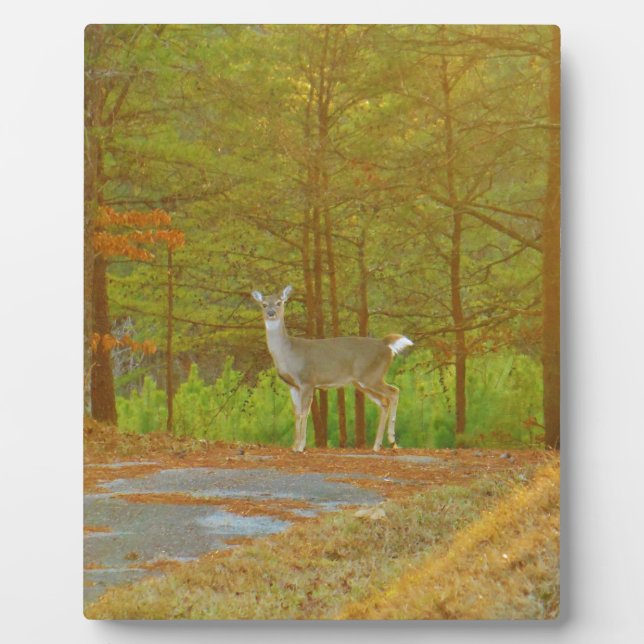 DSCF4041.JPG PLAQUE (Front)