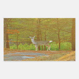 DSCF4041.JPG RECTANGULAR STICKER